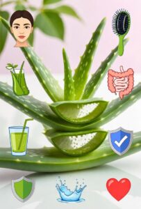 Aloe vera